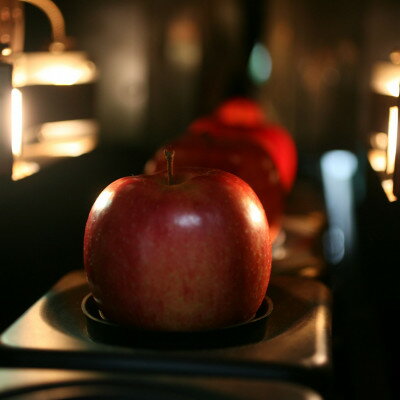 【ふるさと納税】【R7年12月中旬～発送予定】訳あり 青森県産りんご「サンふじ」 約5kg(12～25個)_ りんご リンゴ 林檎 サンふじ 訳あり 青森県産 家庭用 果物 フルーツ 美味しい 人気 送料無料 【配送不可地域：離島・沖縄県】【1467242】 サムネイル3