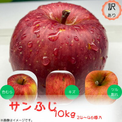 訳ありりんご【サンふじ】10kg(24～46個入)　【令和7年11月下旬～随時発送開始】【配送不可地域：離島・沖縄県】【1486198】