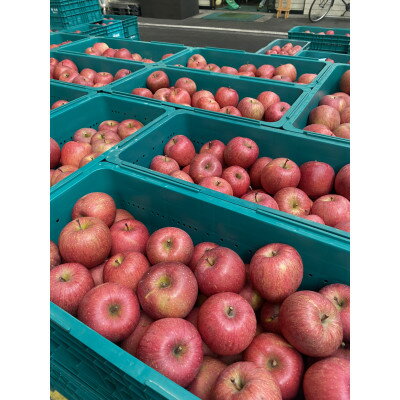 【ふるさと納税】訳ありりんご【サンふじ】10kg(24～46個入)　【令和7年11月下旬～随時発送開始】【配送不可地域：離島・沖縄県】【1486198】 サムネイル2