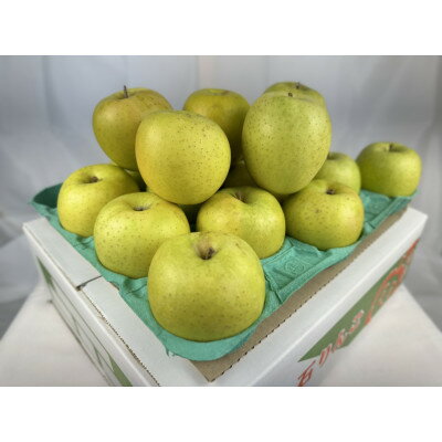 糖度保証!　訳あり品　王林　5kg(14個～23個)【令和7年12月下旬より順次発送】【配送不可地域：離島】【1491942】