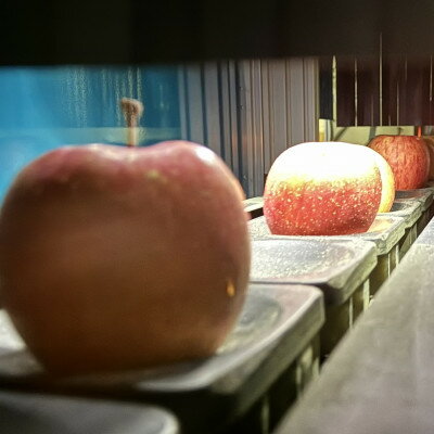 【ふるさと納税】糖度保証!　訳あり品　王林　5kg(14個～23個)【令和7年12月下旬より順次発送】【配送不可地域：離島】【1491942】 サムネイル3