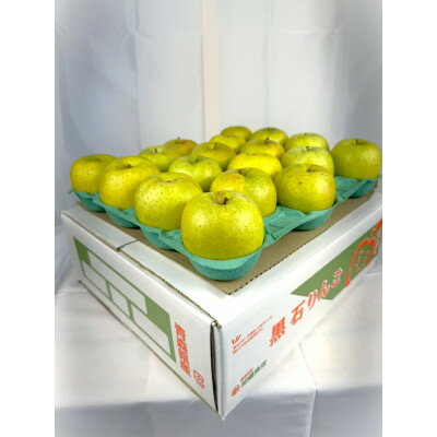 糖度保証!!　令和6年産　訳あり品　王林10kg(26個～46個)【令和7年12月中旬より順次発送】【配送不可地域：離島・沖縄県】【1491943】