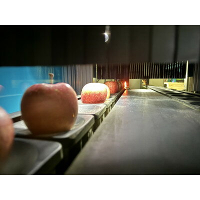 【ふるさと納税】糖度保証!!　令和6年産　訳あり品　王林10kg(26個～46個)【令和7年12月中旬より順次発送】【配送不可地域：離島・沖縄県】【1491943】 サムネイル3