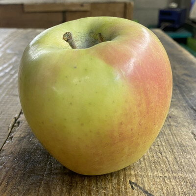 人気沸騰中　名月　訳あり品　5kg(13個～20個)【令和7年11月中旬より順次発送】【配送不可地域：離島】【1492331】