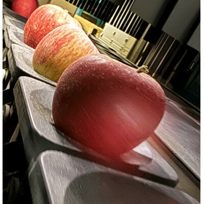 【ふるさと納税】人気沸騰中　名月　訳あり品　5kg(13個～20個)【令和7年11月中旬より順次発送】【配送不可地域：離島】【1492331】 サムネイル3