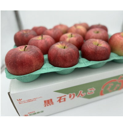 希少品種　大紅栄　訳あり品　5kg(10～16個入)【配送不可地域：離島】【1493957】