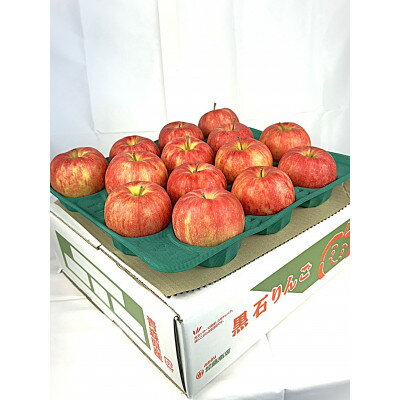 令和7年10月～順次発送　酸味ですっきり　訳ありサンジョナゴールド　10kg(26～40個入)【配送不可地域：離島・沖縄県】【1495743】