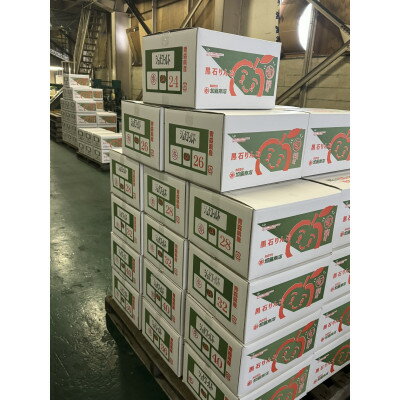 【ふるさと納税】令和7年10月～順次発送　酸味ですっきり　訳ありサンジョナゴールド　10kg(26～40個入)【配送不可地域：離島・沖縄県】【1495743】 サムネイル2