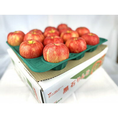 酸味ですっきり! 訳ありサンジョナゴールド　5kg(13～20個入)　令和7年10月下旬より順次発送【配送不可地域：離島】【1495751】