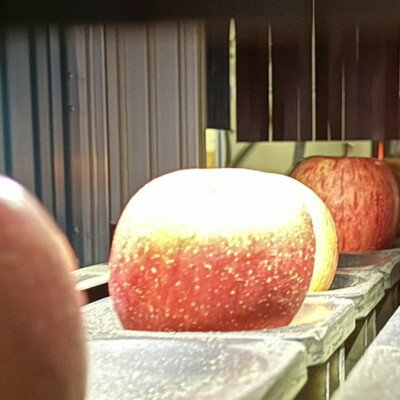 【ふるさと納税】ストレートりんごジュース&りんご【サンふじ】セット　5kg箱【1495762】 サムネイル2