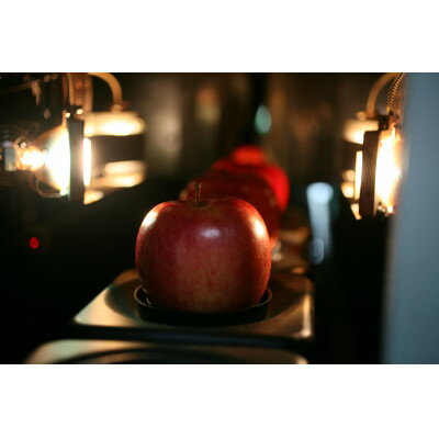 【ふるさと納税】【2025年11月上旬～発送開始】シナノスイート　訳ありりんご　12～23個入　約5Kg【配送不可地域：離島】【1506696】 サムネイル3