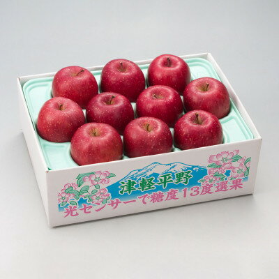 【先行予約】糖度13度選果 サンふじ 鮮度保持剤・保存用ポリ袋付　約2.5kg/約4.3kg【配送不可地域：離島・沖縄県】【G1508214】