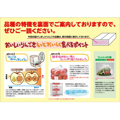 【ふるさと納税】【先行予約】糖度13度選果 サンふじ 鮮度保持剤・保存用ポリ袋付　約2.5kg/約4.3kg【配送不可地域：離島・沖縄県】【G1508214】 サムネイル3