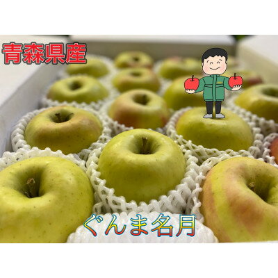 サンふじ&名月 ギフトセット 化粧箱入 約5kg(14～20個)【1513852】