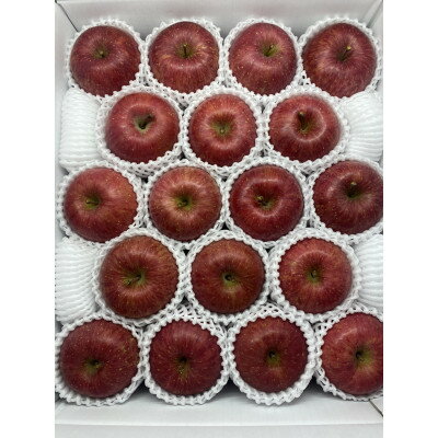 糖度保証選果!特選 サンふじ 5kg(14～20個)【1514898】