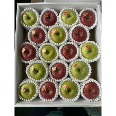 令和7年12月～随時発送予定　サンふじ&王林　5kgセット(ギフトボックス入16～20個入)【1518117】