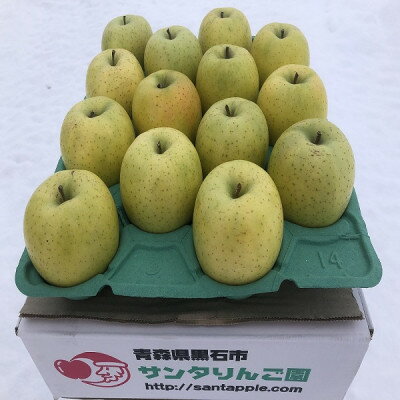 農家直送　青森県産　王林　家庭用　約5kg(18個前後入り)　甘い青りんごの定番【1598177】