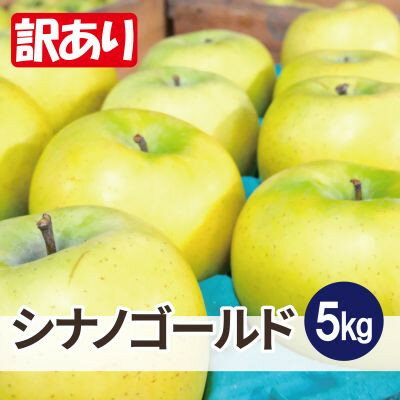 平均糖度13度以上! シナノゴールド 約5kg 訳あり クール便【配送不可地域：離島・沖縄県】【1610044】
