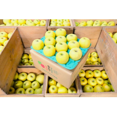 【ふるさと納税】平均糖度13度以上! シナノゴールド 約10kg 訳あり【配送不可地域：沖縄県】【1610222】 サムネイル2