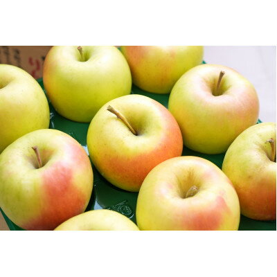 【ふるさと納税】【26年4月より順次発送】平均糖度13度以上! ぐんま名月 約10kg 訳あり クール便【配送不可地域：離島・沖縄県】【1610323】 サムネイル3