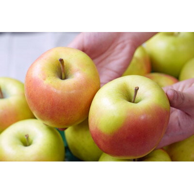 【ふるさと納税】平均糖度13度以上! ぐんま名月 約10kg 訳あり【配送不可地域：沖縄県】【1610379】 サムネイル2