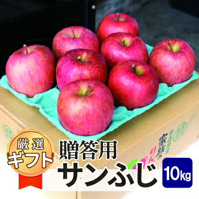 平均糖度13度以上! サンふじ 約10kg 贈答【配送不可地域：沖縄県】【1611196】