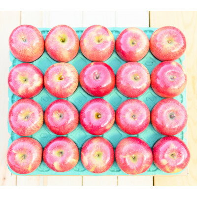 【ふるさと納税】平均糖度13度以上! サンふじ 約10kg 贈答【配送不可地域：沖縄県】【1611196】 サムネイル2