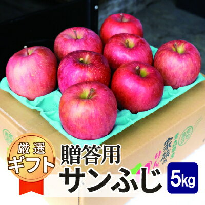 平均糖度13度以上! サンふじ 約5kg 贈答【配送不可地域：沖縄県】【1611197】