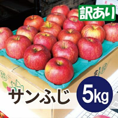 平均糖度13度以上! サンふじ 約5kg 訳あり クール便【配送不可地域：離島・沖縄県】【1611230】