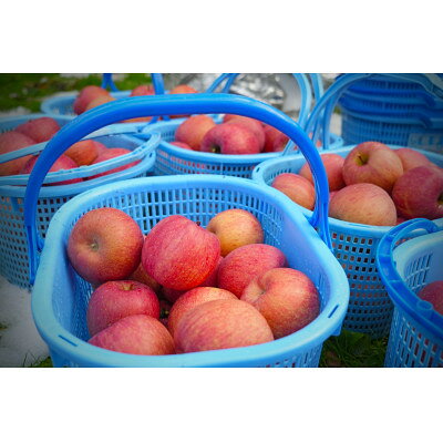 【ふるさと納税】平均糖度13度以上! サンふじ 約5kg おもてなし用 クール便【配送不可地域：離島・沖縄県】【1611231】 サムネイル3