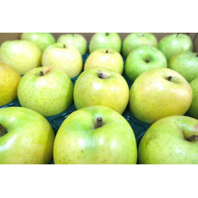 【ふるさと納税】平均糖度13度以上! 王林 約5kg 訳あり【配送不可地域：沖縄県】【1611815】 サムネイル2