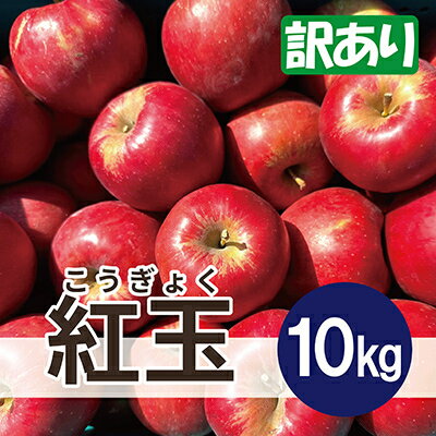 【26年4月より順次発送】 紅玉 約10kg 訳あり クール便【配送不可地域：離島・沖縄県】【1611868】