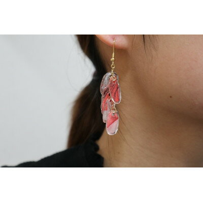 【ふるさと納税】ねぷた絵アクセサリー(ピアス)【1613042】 サムネイル2