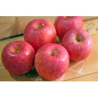 【ふるさと納税】平均糖度13度以上! 有袋ふじ 約10kg おもてなし用 CA貯蔵 クール便【配送不可地域：離島・沖縄県】【1613260】 サムネイル2