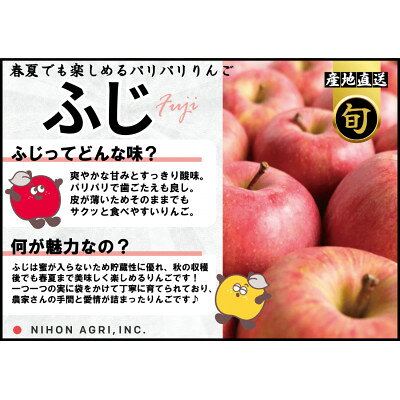 【ふるさと納税】平均糖度13度以上! 有袋ふじ 約10kg おもてなし用 CA貯蔵 クール便【配送不可地域：離島・沖縄県】【1613260】 サムネイル3