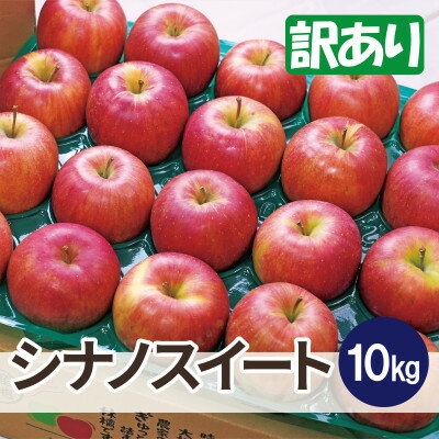 平均糖度13度以上! シナノスイート 約10kg 訳あり【配送不可地域：離島・沖縄県】【1626695】