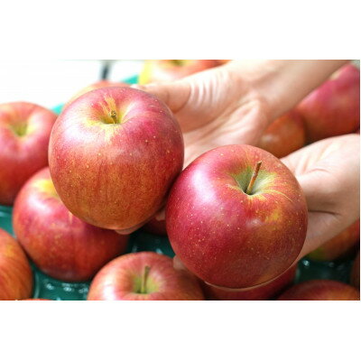 【ふるさと納税】平均糖度13度以上! シナノスイート 約5kg おもてなし用【配送不可地域：離島・沖縄県】【1626719】 サムネイル3