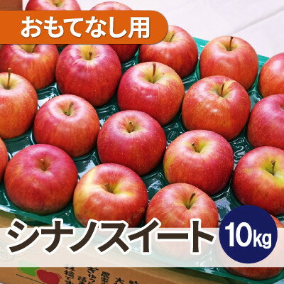 平均糖度13度以上! シナノスイート 約10kg おもてなし用【配送不可地域：離島・沖縄県】【1626721】