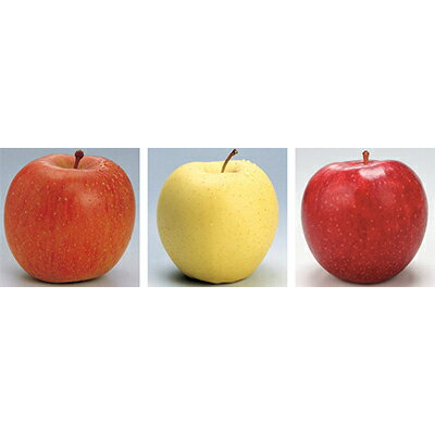 【発送月固定定期便】R8年1月発送開始 青森県産りんご　月替わりでお届けします全3回【配送不可地域：離島・沖縄県】【4002854】