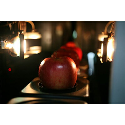 【ふるさと納税】【発送月固定定期便】R8年1月発送開始 青森県産りんご　月替わりでお届けします全3回【配送不可地域：離島・沖縄県】【4002854】 サムネイル3