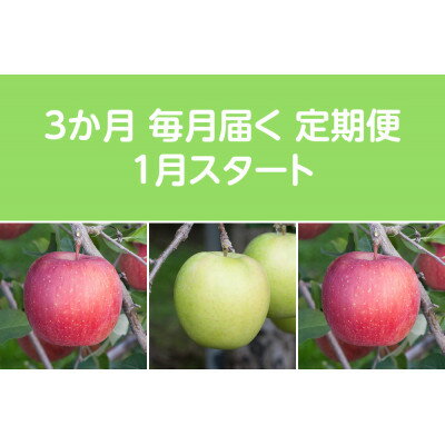 【発送月固定定期便】〈2026年1月より順次発送〉甘味系・青森りんご約5kg 全3回【配送不可地域：離島・沖縄県】【4051697】