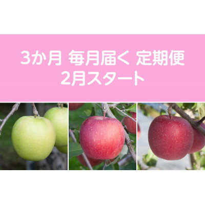 【発送月固定定期便】〈2026年2月より順次発送〉甘味系・青森りんご約5kg 全3回【配送不可地域：離島・沖縄県】【4051698】