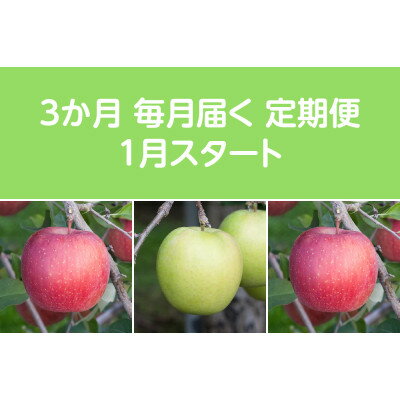 【発送月固定定期便】〈2026年1月より順次発送〉甘味系・青森りんご約3kg全3回【配送不可地域：離島・沖縄県】【4068094】