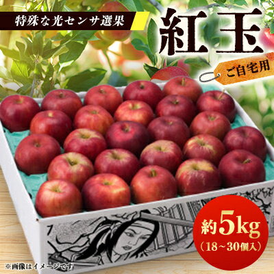 【ご自宅用　紅玉　令和7年9月下旬～発送】約5k(18～30個入)黒昇会DB箱入　特殊な光センサ選果_ りんご 紅玉 林檎 リンゴ 青森県 光センサー 果物 くだもの フルーツ デザート 調理用 お菓子作り【配送不可地域：離島】【1328602】