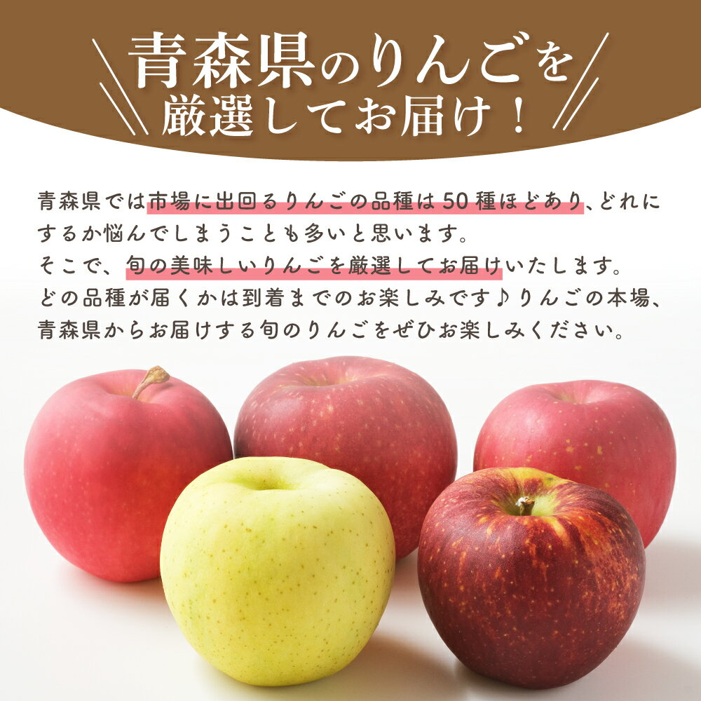 【ふるさと納税】★レビュー高評価★【 訳あり 】 りんご 1品種 おまかせ 3kg または 5kg ( 配送時期が選べる ) 青森/ 不揃い 規格外 送料無料 くだもの 果物 フルーツ 林檎 旬 青森県 五所川原市 リンゴ ringo サムネイル3