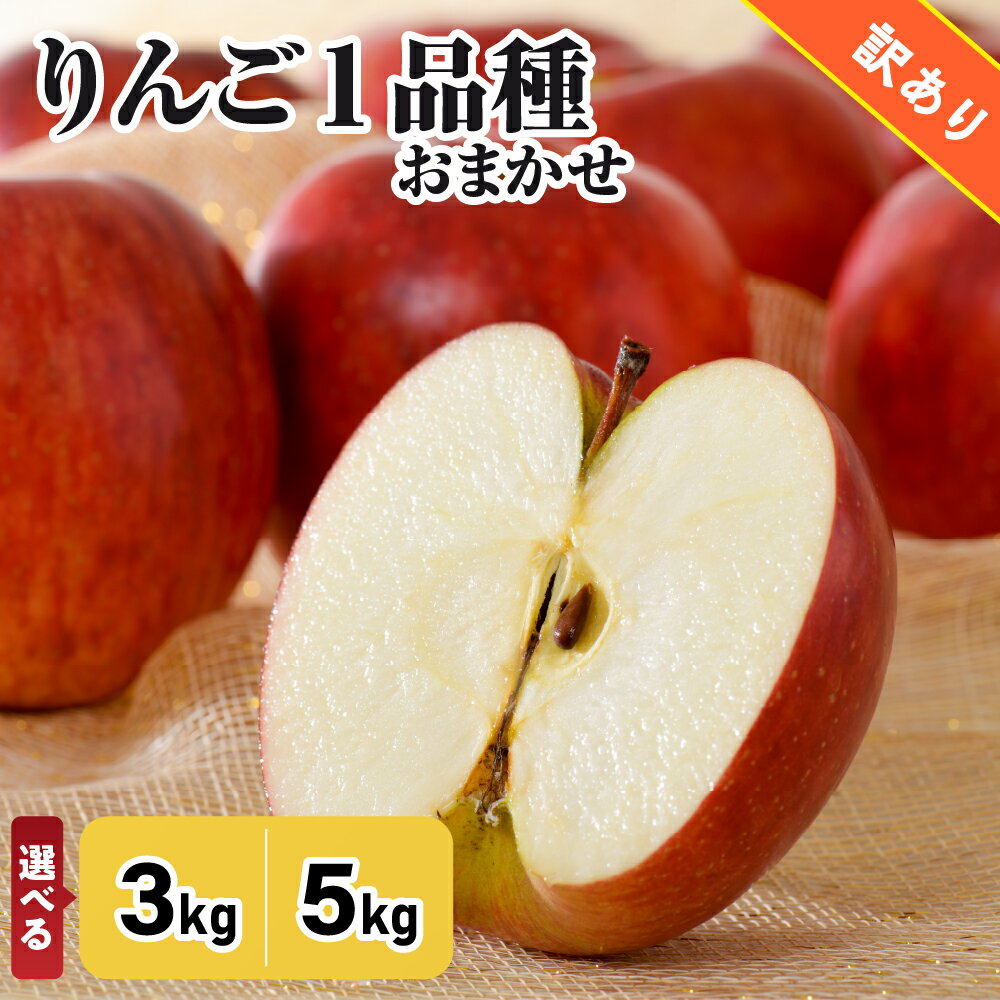 ★レビュー高評価★【 訳あり 】 りんご 1品種 おまかせ 3kg または 5kg ( 配送時期が選べる ) 青森/ 不揃い 規格外 送料無料 くだもの 果物 フルーツ 林檎 旬 青森県 五所川原市 リンゴ ringo
