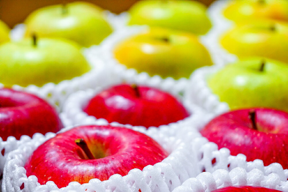 【ふるさと納税】《特選》 りんご 1品種おまかせ 3kg または 5kg ( 配送時期が選べる ) 青森 フルーツ 果物 くだもの 林檎 3キロ 5キロ 送料無料 贈り物 ギフト 秋 旬 常温保存 青森県 五所川原市 サムネイル2