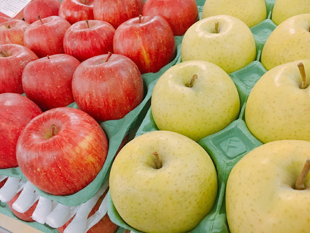 【ふるさと納税】《特選》 りんご 1品種おまかせ 3kg または 5kg ( 配送時期が選べる ) 青森 フルーツ 果物 くだもの 林檎 3キロ 5キロ 送料無料 贈り物 ギフト 秋 旬 常温保存 青森県 五所川原市 サムネイル3