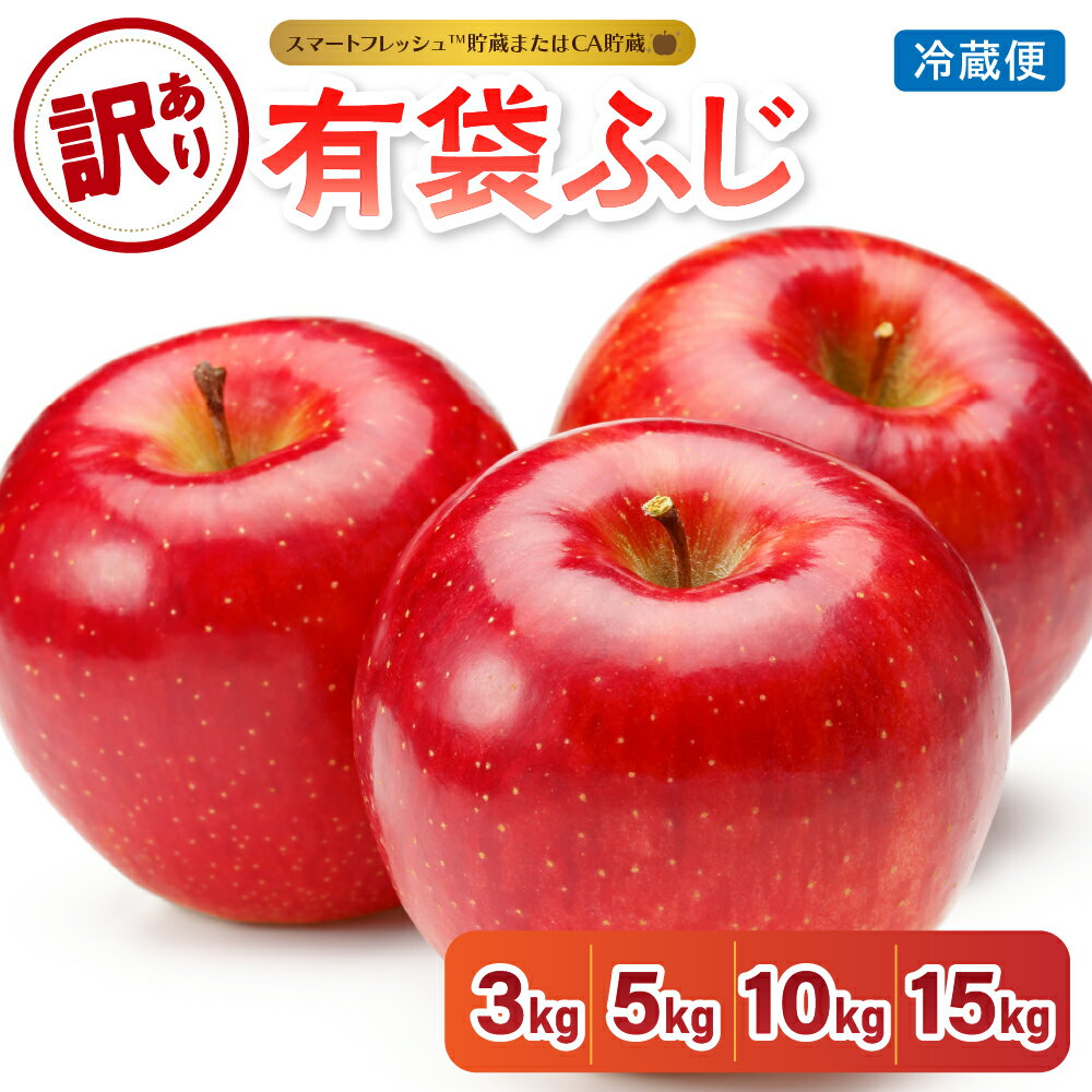 【 訳あり 】 りんご 選べる内容量 3kg 5kg 10kg 15kg 有袋ふじ 青森 【発送時期が選べる】 【スマートフレッシュTM貯蔵 または CA貯蔵 ・ クール便 フルーツ 果物 送料無料 産地直送 青森県 五所川原市 】