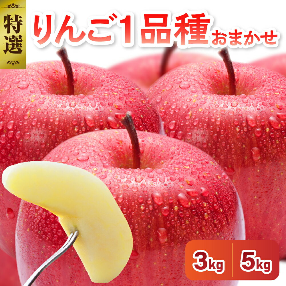 《特選》 りんご 1品種おまかせ 3kg または 5kg ( 配送時期が選べる ) 青森 フルーツ 果物 くだもの 林檎 3キロ 5キロ 送料無料 贈り物 ギフト 秋 旬 常温保存 青森県 五所川原市